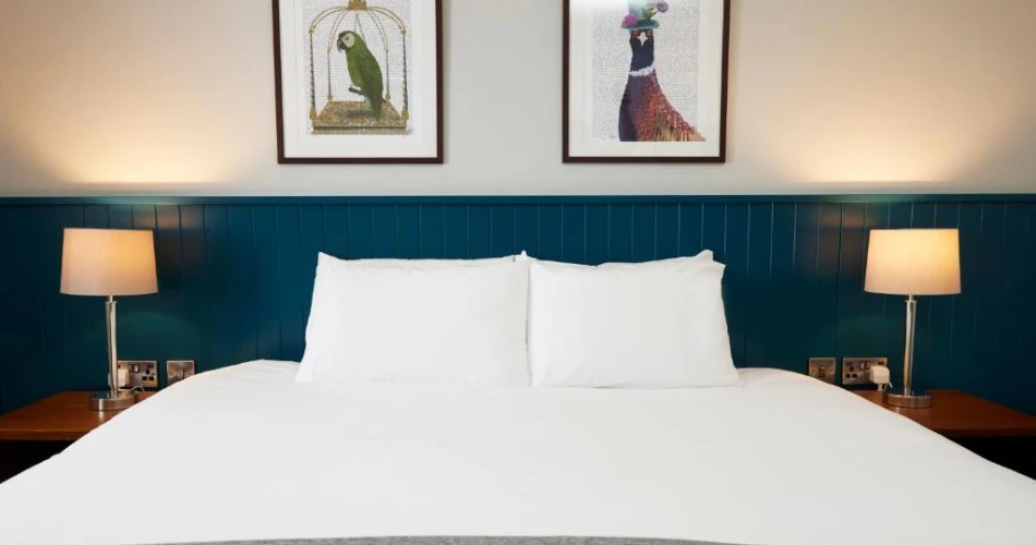 The Ultimate Guide to Hotels Near Buckingham Palace for Every Traveler
